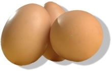 jajca_220 jajca_220